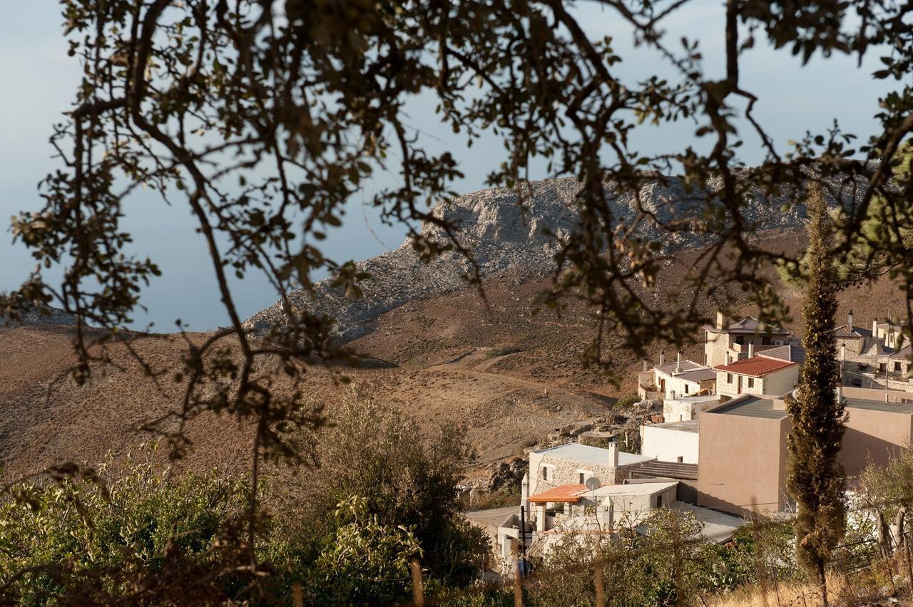 Thalori Traditional Ecotourism Village 4* Kapetanianá